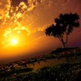 a1562646aef486c8483993647283a978