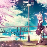 2e193034155a10942cfe59d32b8054cd