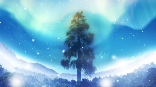 (pid 39764155)Winter