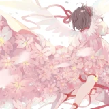 6ff14497dabb692a969362d1b390d8fd
