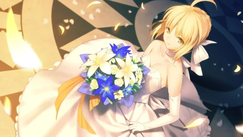 (pid 42996124)ドレスのセイバーさん