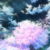 b246d14a3d8a951e1c9f522c4cbfb68a