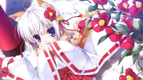 5b90a60121304a8b95ac9e6191017d34.webp