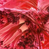 618dc1a58ef9fd4ac8ba1425c09d7108