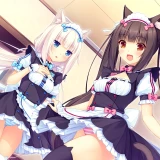 6cdbbd0e40fe51604f474bffbf47adf9