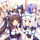 6f5166e21c15fc0c925f824992318dd2