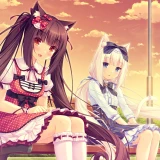 8d89a68f4e8c6eb9853a912f465c160a