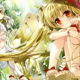 ef2e3c694ef9d520bbafe9c23372d5e0